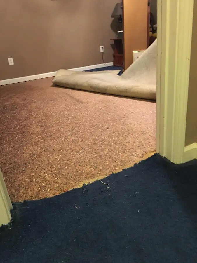 Carpet pad removal revealing water damage during Drying & Dehumidification in Taneytown
